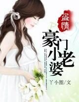 盜情:豪門小老婆